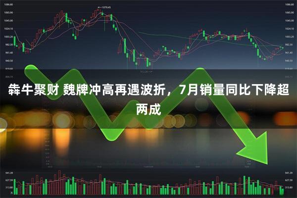 犇牛聚财 魏牌冲高再遇波折，7月销量同比下降超两成